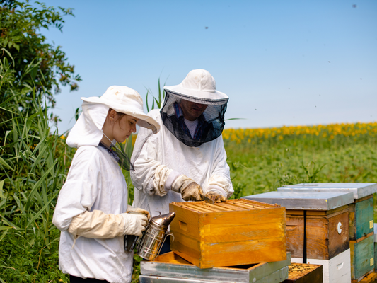 Ventilated Beekeeping Jackets and Their Unbeatable Benefits